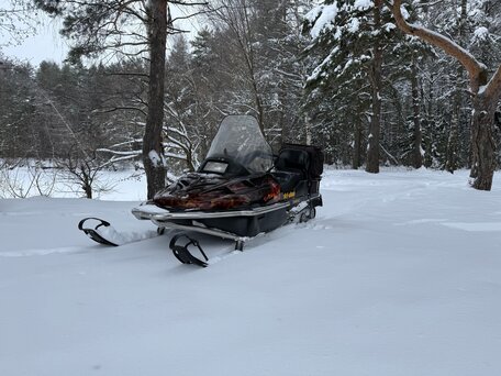1998 BRP Ski-Doo Skandic 550, чёрный, 495000 рублей, вид 2