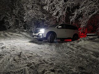 2021 GAC GS8 I, белый, 3050000 рублей, вид 3