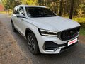 2023 Geely Monjaro I, белый, 3200000 рублей - вид 9