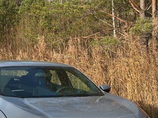 2017 Honda Civic X, голубой, 1772995 рублей, вид 3