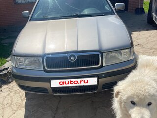 2007 Skoda Octavia I (A4) Рестайлинг, серый, 470000 рублей, вид 2