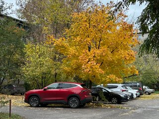 2024 Jetour Dashing I, красный, 3000000 рублей, вид 2