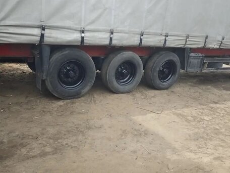 2004 Schmitz Cargobull S01, серый, 900000 рублей, вид 3