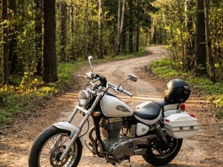 Suzuki LS 400 Savage