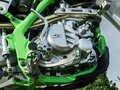 2024 Sharmax Powermax, зелёный, 278300 рублей - вид 5