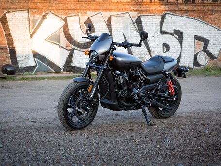 2017 Harley-Davidson Street Rod, серый, 900000 рублей, вид 3