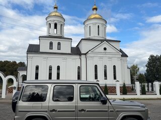 2021 Mercedes-Benz G-Класс 350 d III (W463), серый, 11500000 рублей, вид 5
