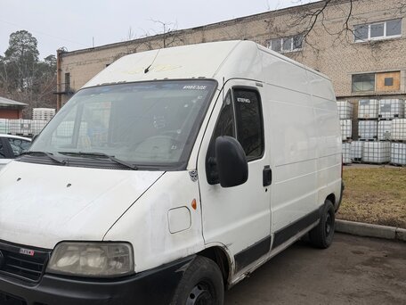 2010 Fiat Professional Ducato, белый, 480000 рублей, вид 2