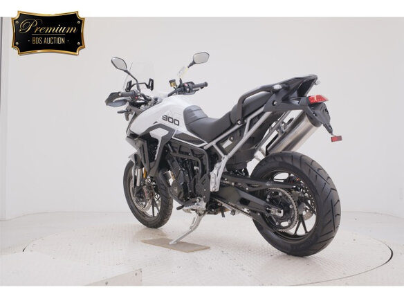 2024 Triumph Tiger 900, белый, 1290000 рублей - вид 5