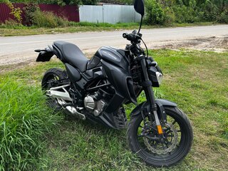 Regulmoto Alien Monster