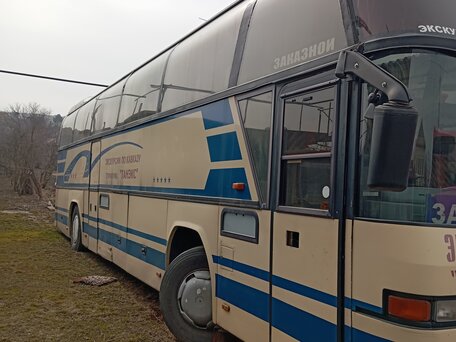 1982 Neoplan Cityliner, коричневый, 850000 рублей, вид 1