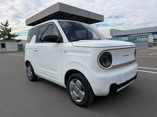 2024 Geely Panda Mini I, белый, 650401 рублей, вид 2