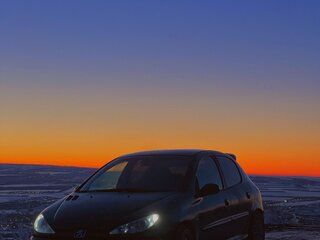 2004 Peugeot 206, зелёный, 209000 рублей, вид 2