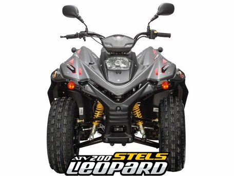 2026 Stels ATV-200 Леопард, серый, 305000 рублей, вид 4
