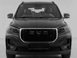 2024 SWM G05 Pro, серый, 1855000 рублей, вид 2