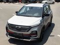 2026 Chevrolet Captiva II, серый