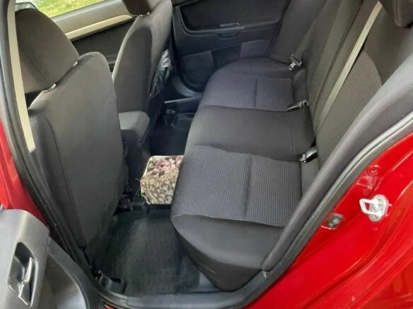 2008 Mitsubishi Lancer X, красный, 1050000 рублей - вид 12