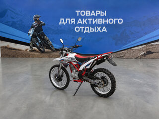 2026 Wels MX250R, белый, 126300 рублей, вид 4