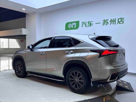 2021 Lexus NX 200 I Рестайлинг, серебристый, 2600000 рублей, вид 5
