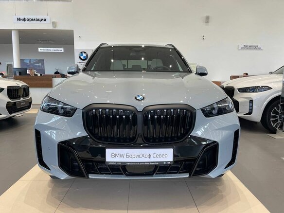 2025 BMW X5 40d IV (G05/G18) Рестайлинг, серый, 15590000 рублей - вид 1