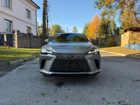2024 Lexus RX 300 V, серый, 6590000 рублей, вид 1