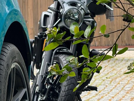 2023 CFMoto 700CL-X Heritage, чёрный, 600000 рублей, вид 4