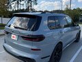 2025 BMW X7 M60i I (G07) Рестайлинг, серый, 17500000 рублей - вид 3