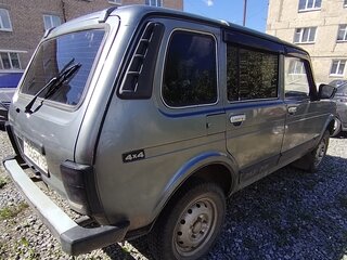 2010 Lada (ВАЗ) 2131 (4x4) Рысь I, серый, 370000 рублей, вид 3