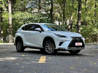 2020 Lexus NX 200 I Рестайлинг, белый, 3050002 рублей, вид 1