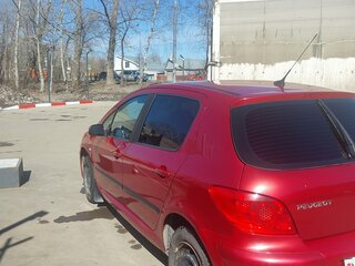 2006 Peugeot 307 I Рестайлинг, красный, 280000 рублей, вид 5