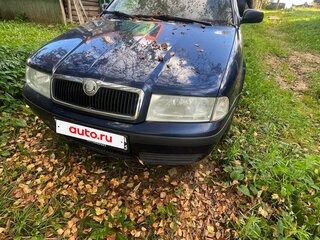 2005 Skoda Octavia I (A4) Рестайлинг, синий, 410000 рублей, вид 1