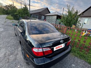 2004 Nissan Maxima V (A33), чёрный, 550000 рублей, вид 2