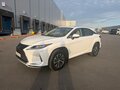 2020 Lexus RX 300 IV Рестайлинг, белый - вид 1