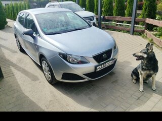 2010 SEAT Ibiza IV, серебристый, 750000 рублей, вид 2
