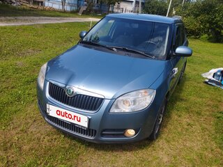 2009 Skoda Fabia II, серый, 455000 рублей, вид 2