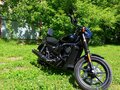 2015 Harley-Davidson Street 750, чёрный, 500000 рублей - вид 3