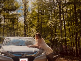 2014 Honda Vezel I, серебристый, 1300000 рублей, вид 5
