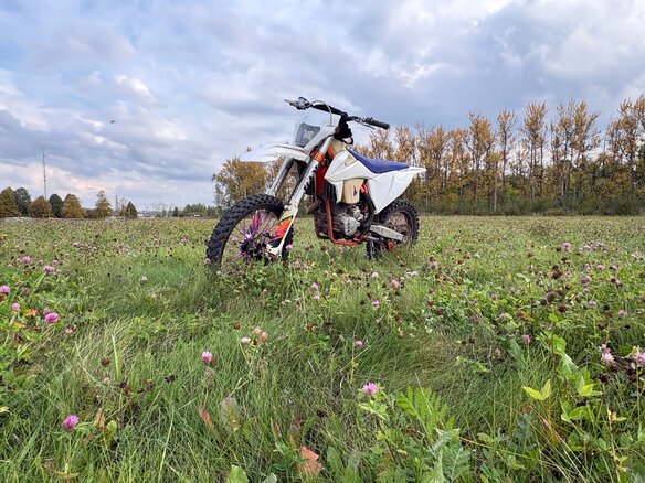 2023 Ataki EF 250, белый, 140000 рублей