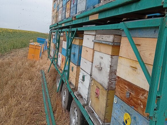 2024 BURG BPD 12-27DL, зелёный, 350000 рублей - вид 5