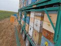 2024 BURG BPD 12-27DL, зелёный, 350000 рублей - вид 5