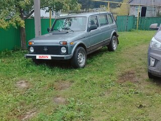 2010 Lada (ВАЗ) 2131 (4x4) Рысь I, серый, 250000 рублей, вид 1