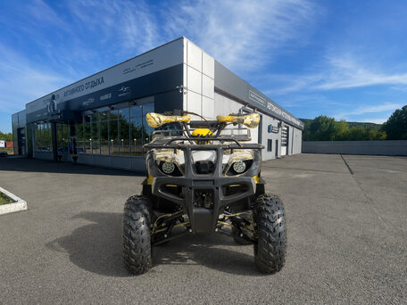 2026 Motoland ATV 250 Adventure, бежевый, 185100 рублей, вид 3