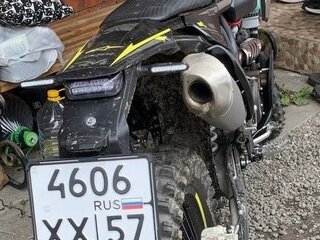 2026 Regulmoto Legend 300, зелёный, 250000 рублей, вид 2