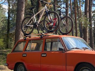 1984 Lada (ВАЗ) 2102, красный, 67350 рублей, вид 2