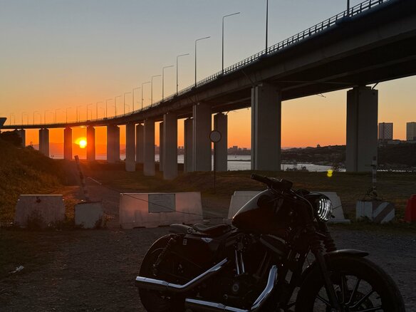 2009 Harley-Davidson Sportster 883, чёрный, 670000 рублей - вид 12