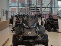 2024 BRP Ski-Doo Skandic LE 900 ACE, чёрный, 2590000 рублей - вид 3
