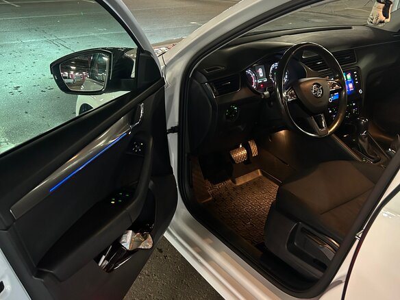 2017 Skoda Octavia III (A7) Рестайлинг, белый, 2000000 рублей - вид 19