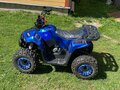 2021 Yacota Raposa, синий, 69000 рублей - вид 6