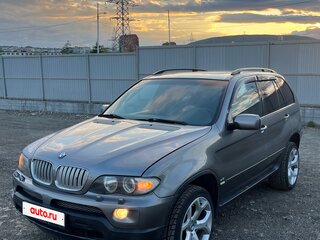2004 BMW X5 4.4i I (E53) Рестайлинг, серый, 1000000 рублей, вид 2