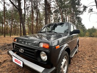 2017 Lada (ВАЗ) 2121 (4x4) I Рестайлинг, серебристый, 675000 рублей, вид 3